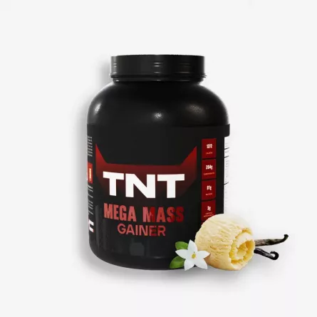 Tnt Mega Mass Gainer - Neopharma