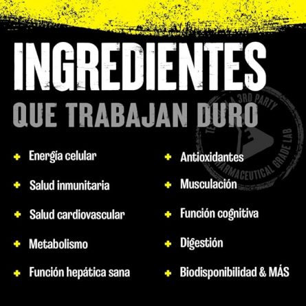 61 o2FwtdL. AC SX679