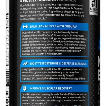 61EgcVIY1EL. AC SX679