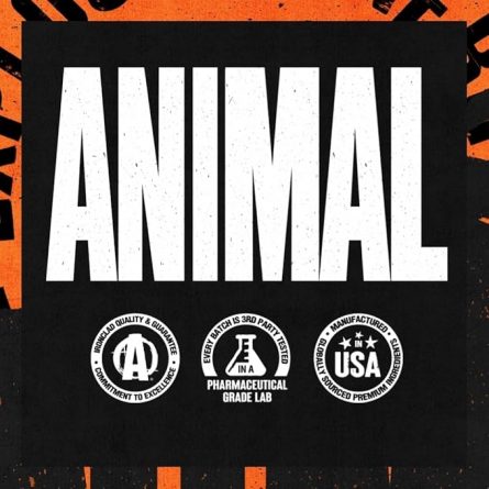 61b13qiohFL. AC SX679