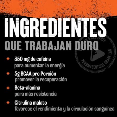 61tTVXGNBL. AC SX679