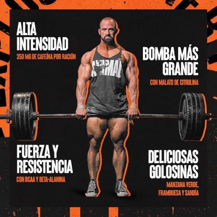 71WbXrdMsqL. AC SX679