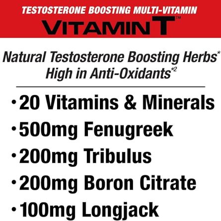 71ZWWqrsxGL. AC SX679