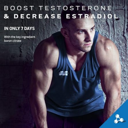 71dyZLFRxIL. AC SX679