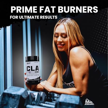 71gQkd2OSNL. AC SX679