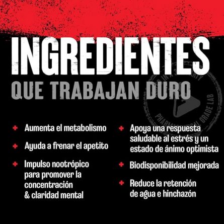 71kP0tLUUcL. AC SX679