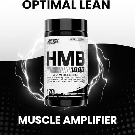 71vjAufyL3L. AC SX679