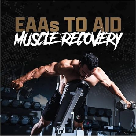 71zPnX XeWL. AC SX679