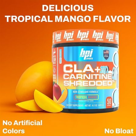 71zbtv0oWpL. AC SX679