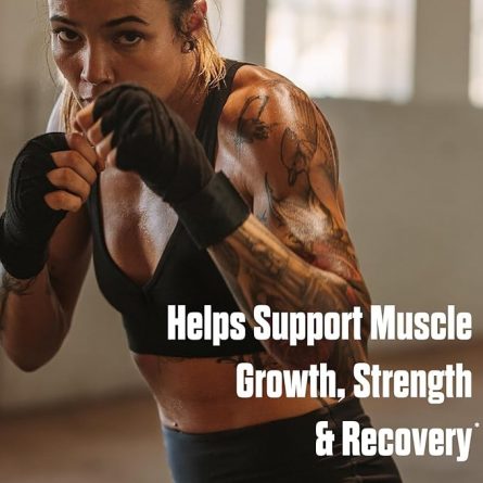 71zznEP 5cL. AC SX679