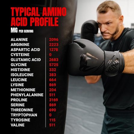 81 8e5ZgwtL. AC SX679