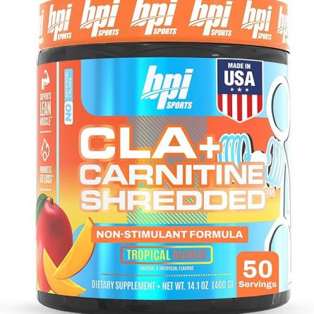 81cKlMf6u1L. AC SX679