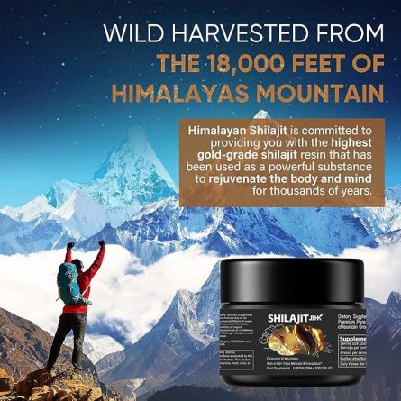 81hEcNmjyFL. AC SX679