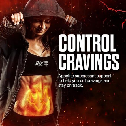 81vw8E1RV8L. AC SX679