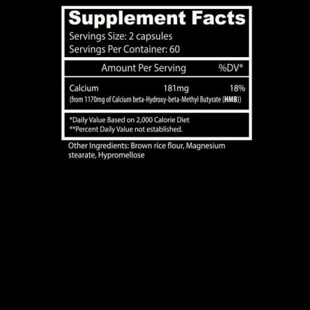 ACSHMBSuppPanel Website2024copy