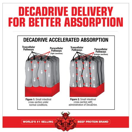 CARNIVOR CREATINE DECANATE DECA DRIVE TECHNOLOGY 8cdeeaa3 be8f 4899 b3a5 88936603830f 1500x