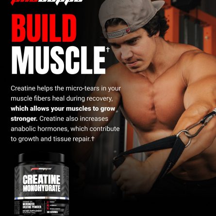 Creatine Monohydrate Build Muscle