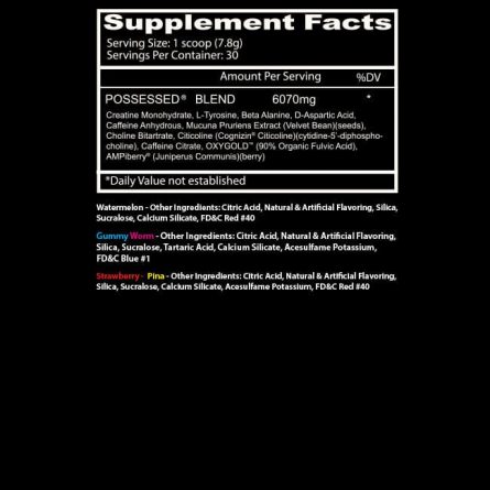 PossessedSuppPanel Website2024copy 1