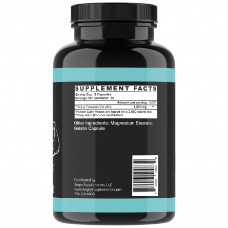 SuppSide BlueishRender 2048x