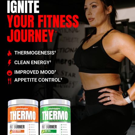 Thermo Intro 65e64206 aab8 4d91 8027 24046520d40b