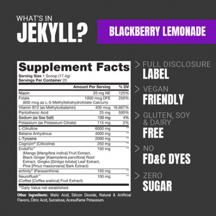 jekyll alt images blackberry lemonade sfp 480x480